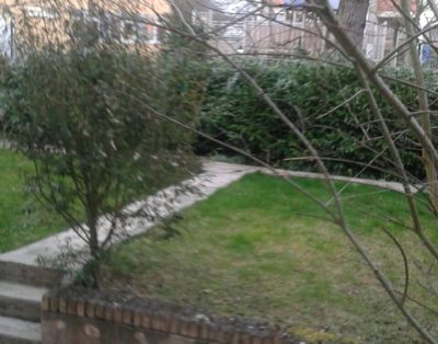 BO32 Room to rent in Luxembourg