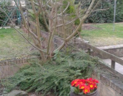 BO32 Room to rent in Luxembourg